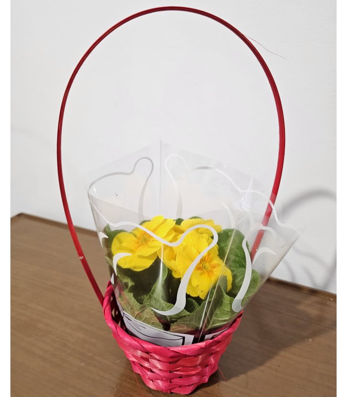 Aranjament „Sunny Smile”