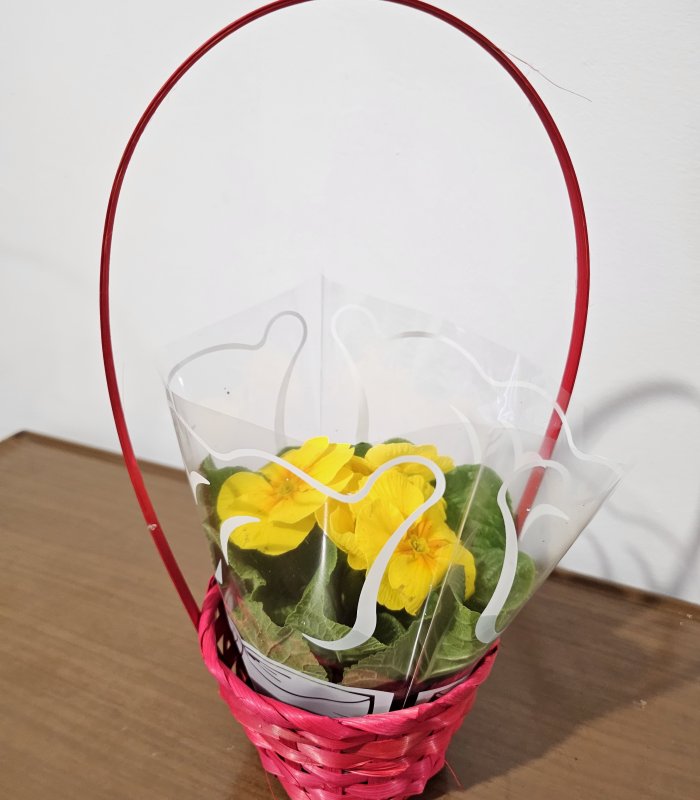 Aranjament „Sunny Smile”