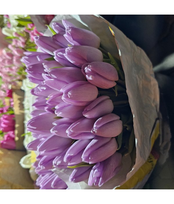 Buchet Lalea 11 fire mov deschis