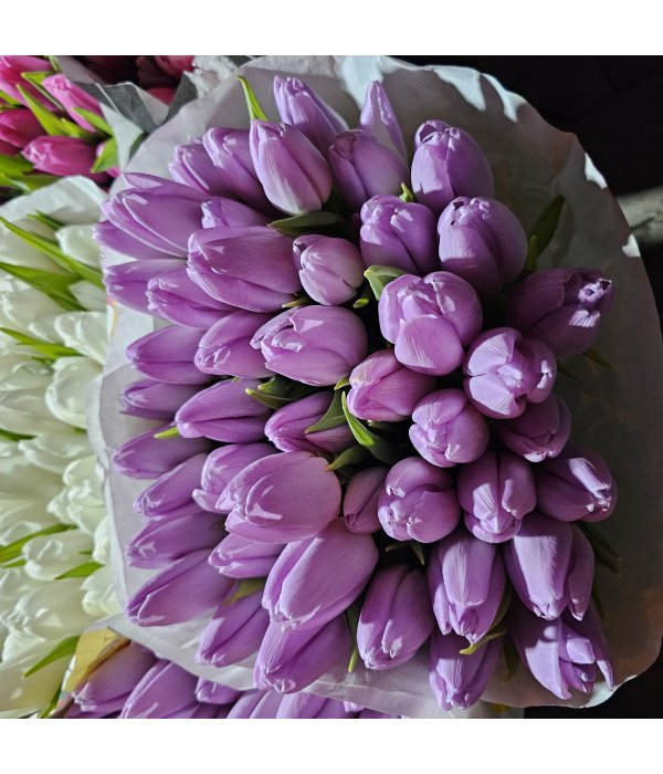 Buchet Lalea 11 fire mov deschis