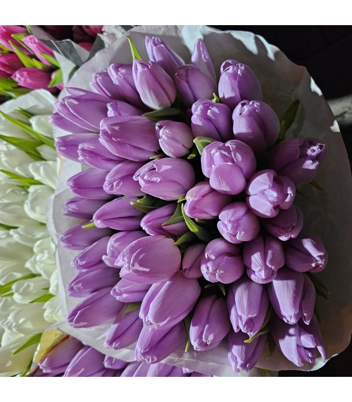 Buchet Lalea 11 fire mov deschis