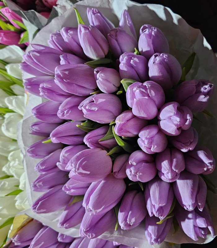 Buchet Lalea 11 fire mov deschis