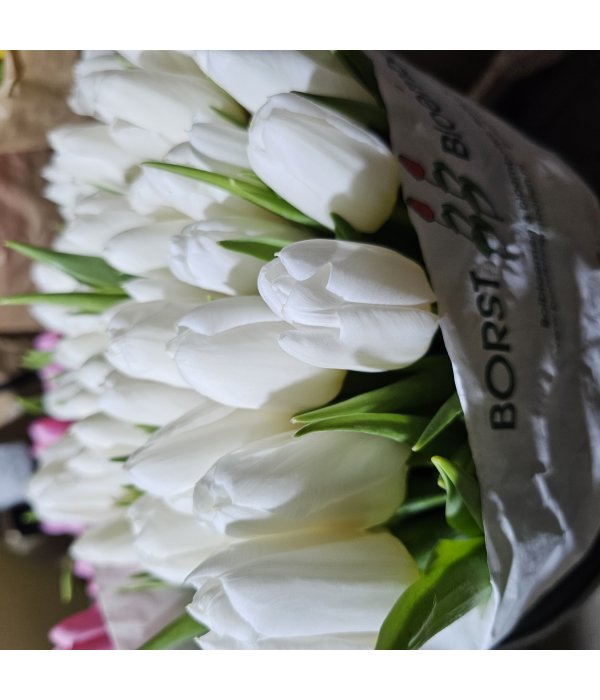 Buchet Lalea 11 fire alb