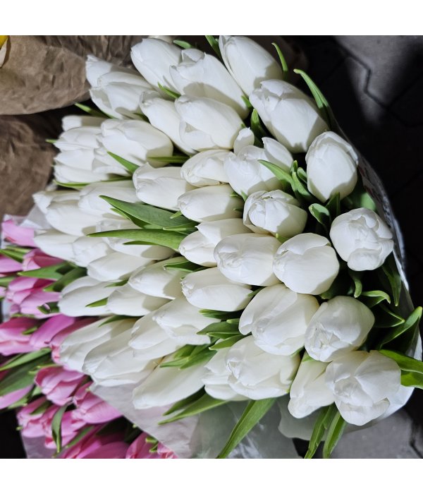 Buchet Lalea 11 fire alb