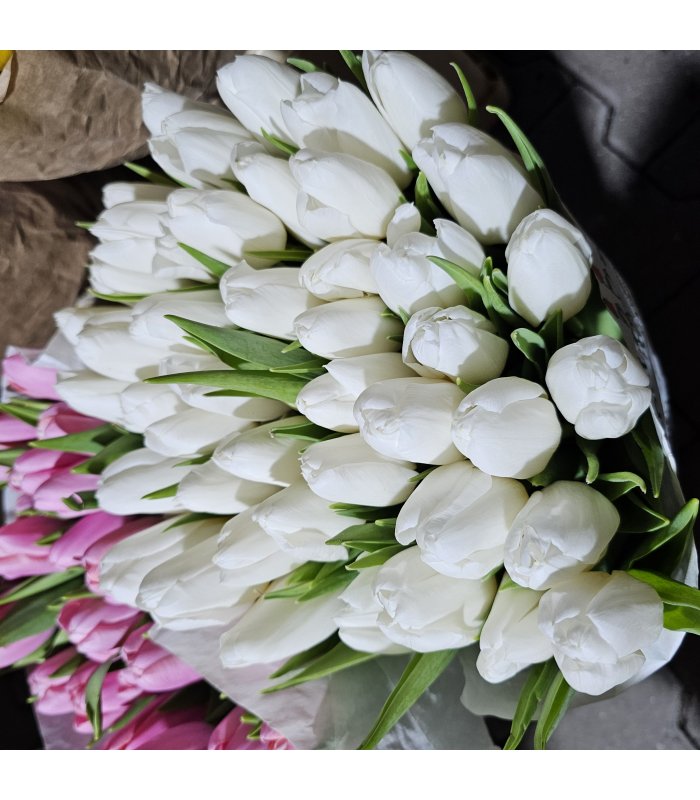 Buchet Lalea 11 fire alb