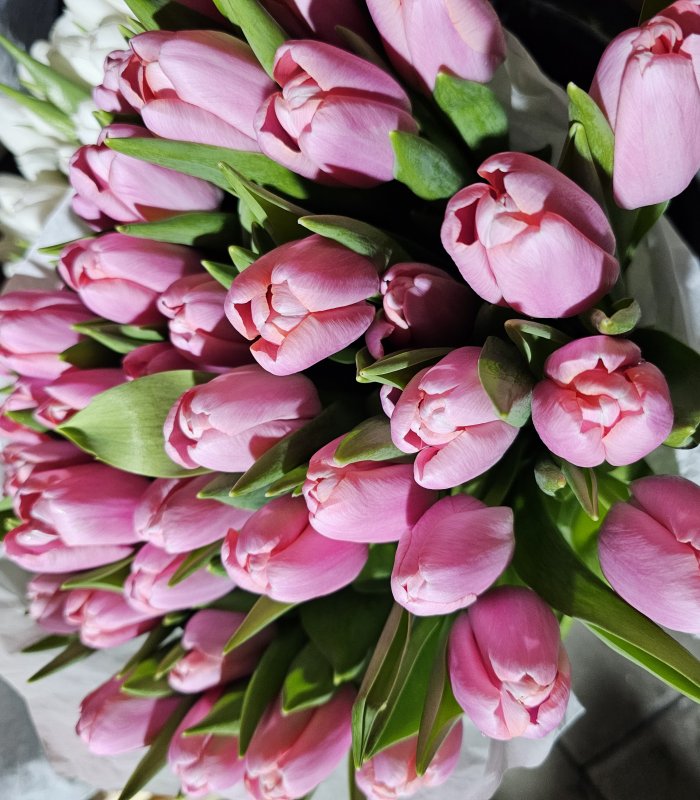 Buchet Lalea 11 fire roz