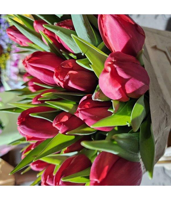 Buchet Lalea 11 fire rosu