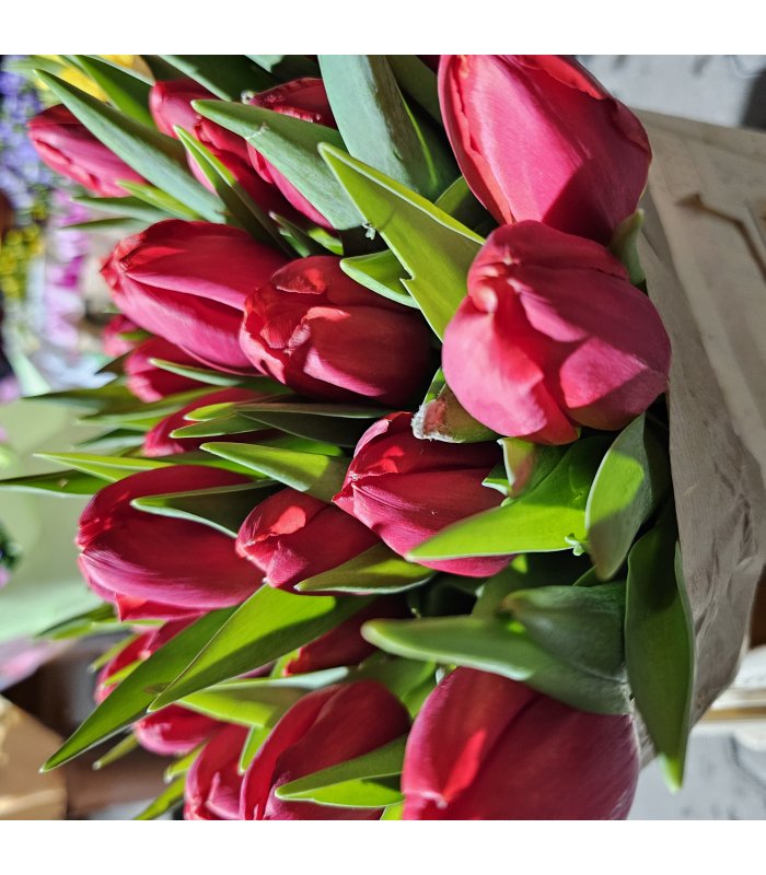 Buchet Lalea 11 fire rosu