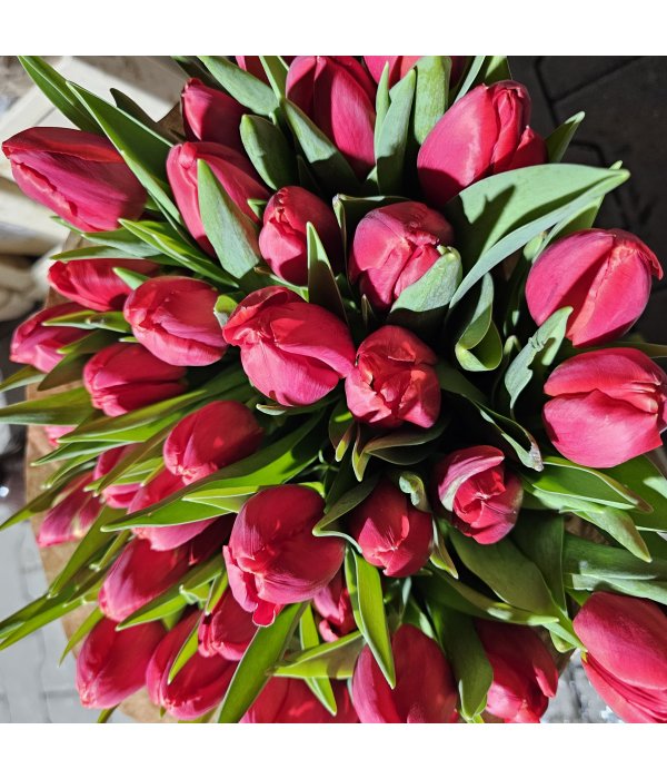 Buchet Lalea 11 fire rosu