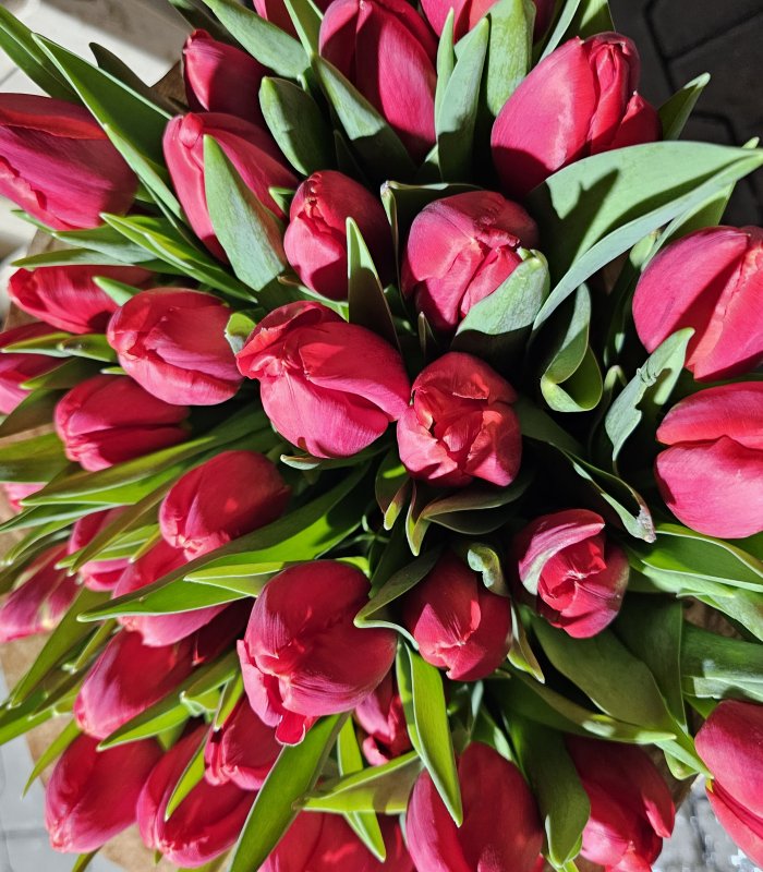 Buchet Lalea 11 fire rosu