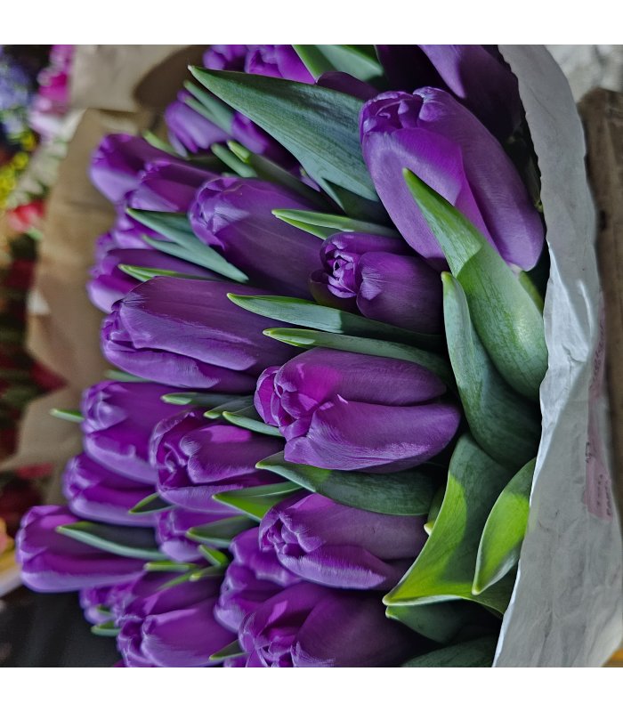 Buchet Lalea 11 fire mov