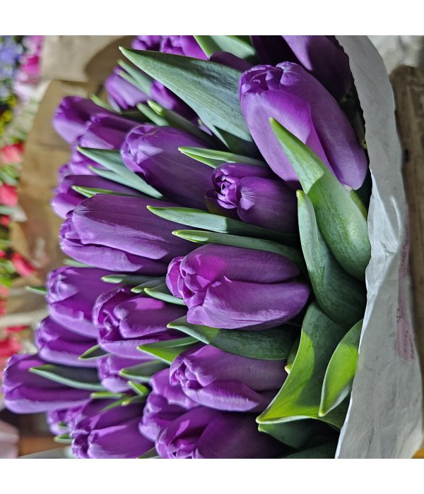 Buchet Lalea 11 fire mov