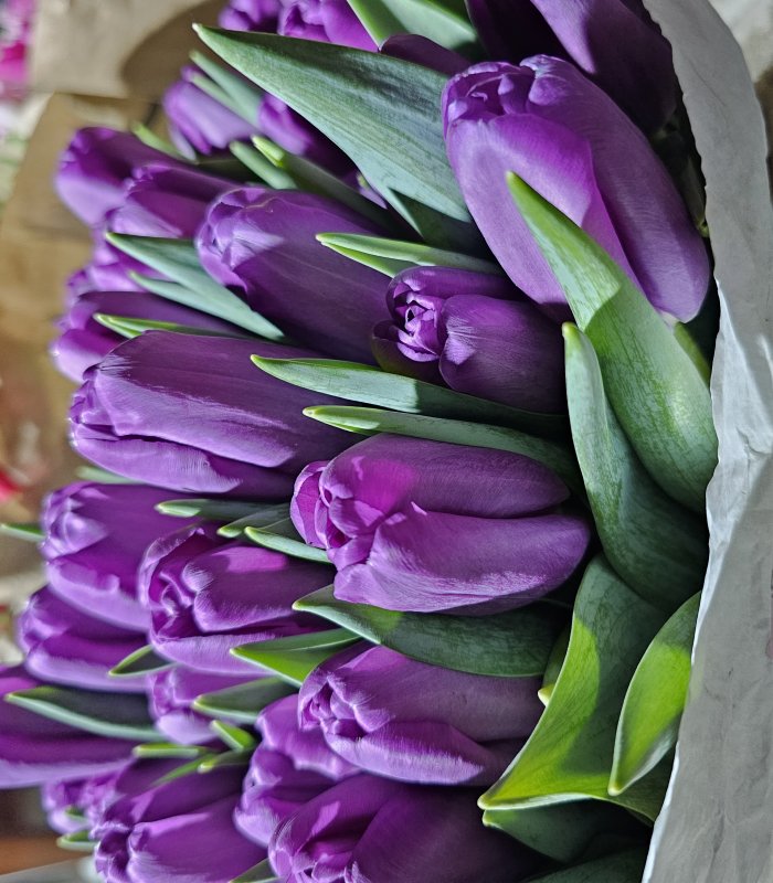 Buchet Lalea 11 fire mov