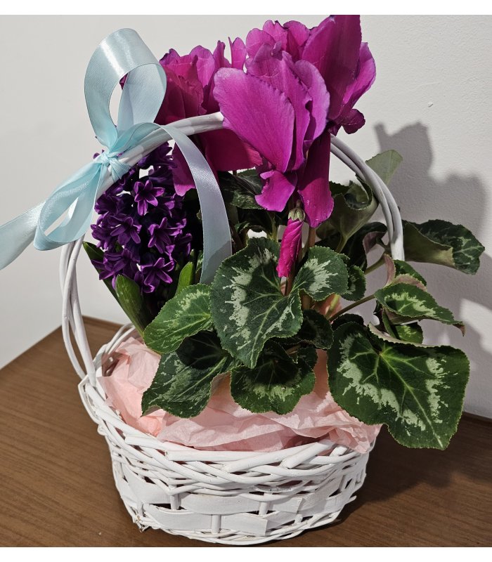 Aranjament „Sweet Bloom Basket”
