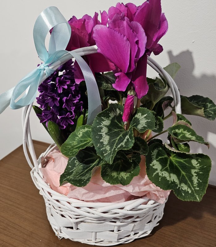 Aranjament „Sweet Bloom Basket”