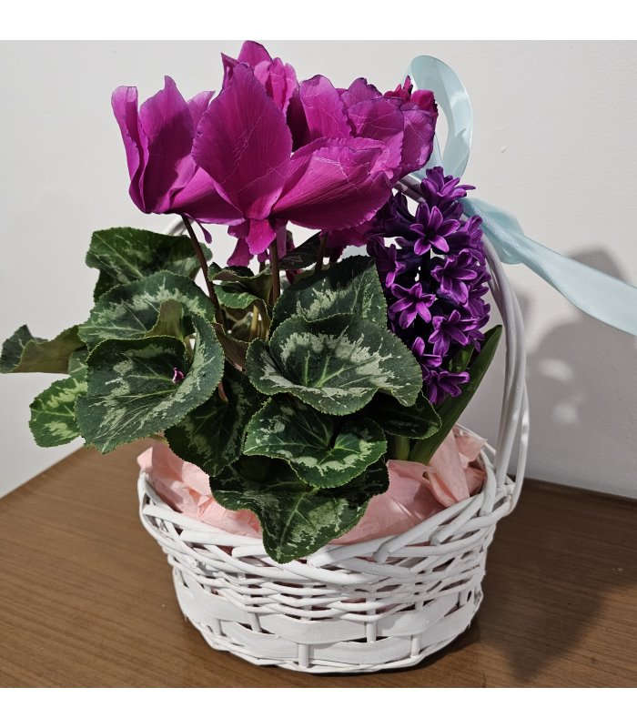 Aranjament „Sweet Bloom Basket”