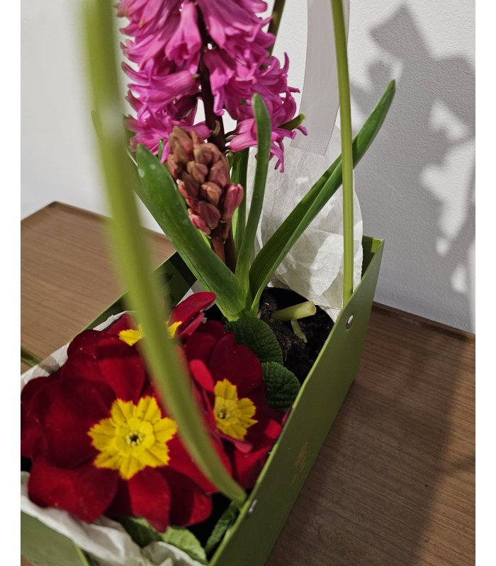 Aranjament „Spring Harmony”