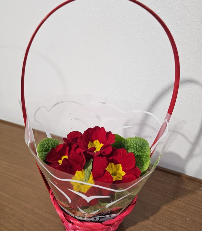 Aranjament „Red Joy”