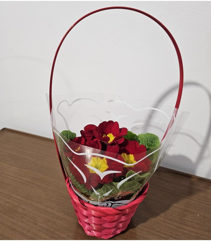 Aranjament „Red Joy”