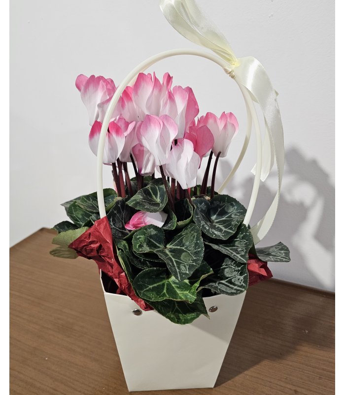 Aranjament „Pink Elegance”