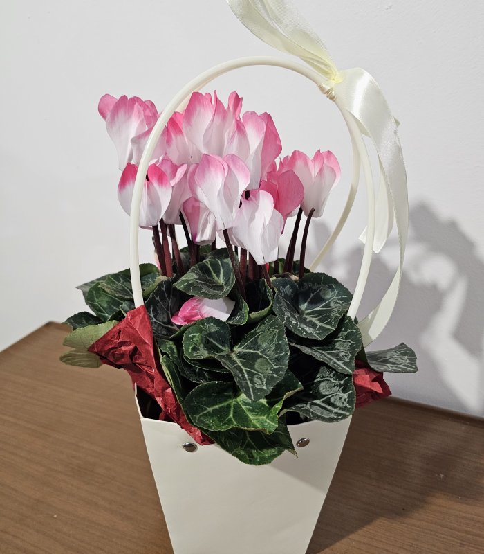 Aranjament „Pink Elegance”