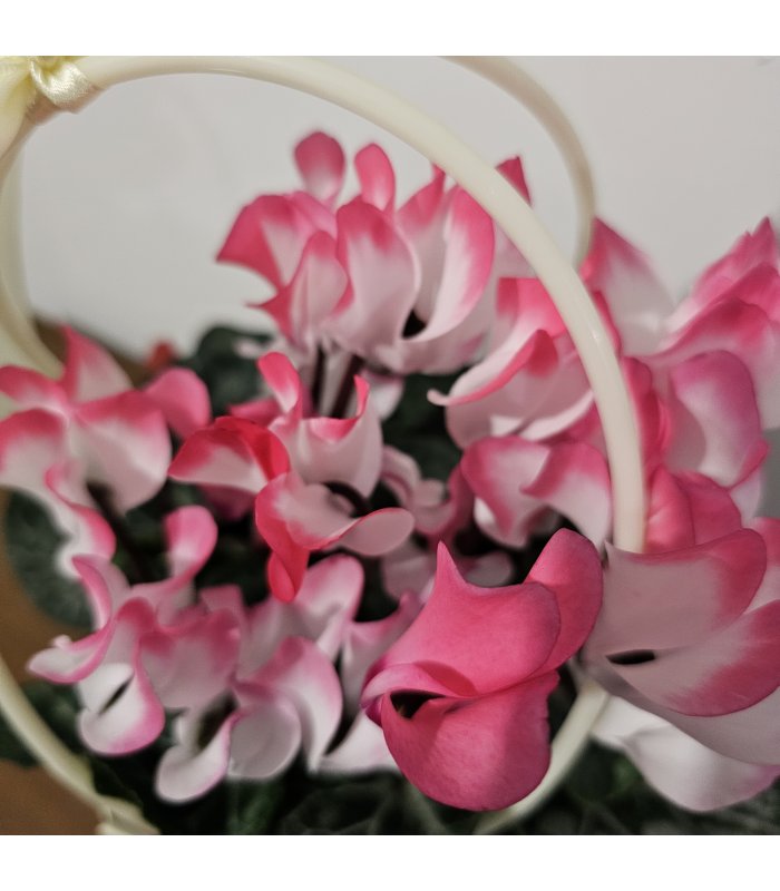 Aranjament „Pink Elegance”