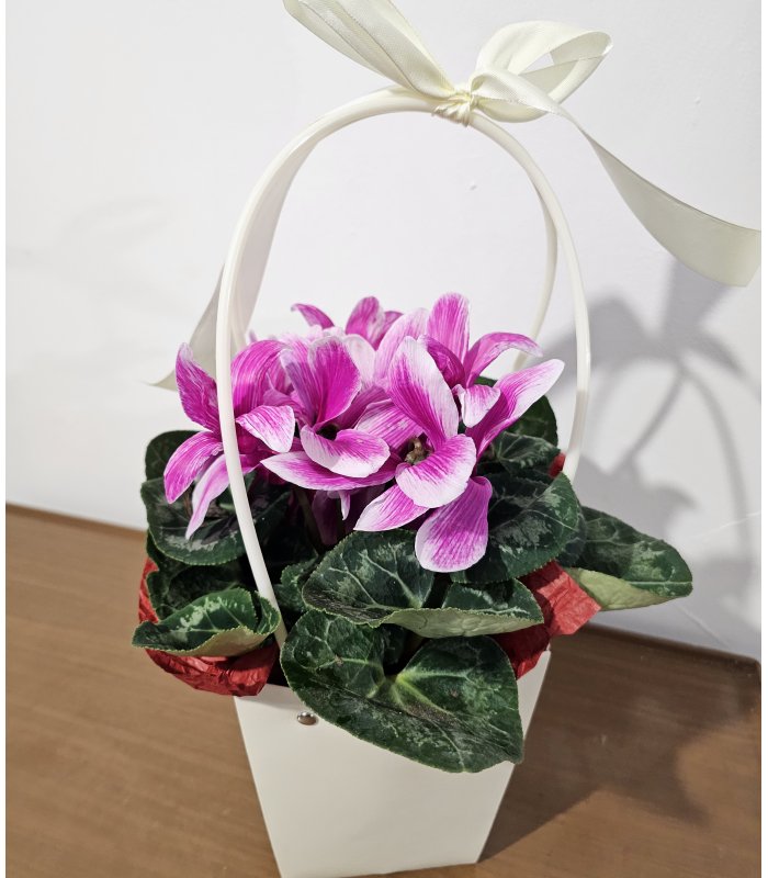 Aranjament „Pink Grace”