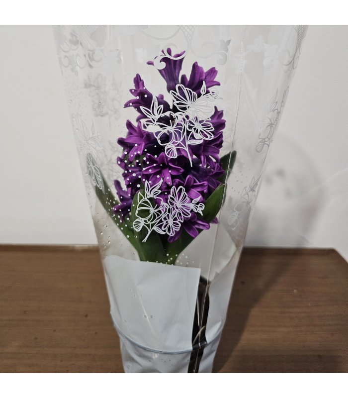 Zambilă „Purple Charm”