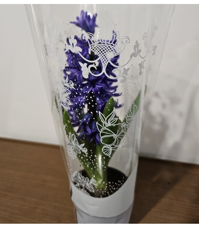 Zambilă „Purple Charm” 2