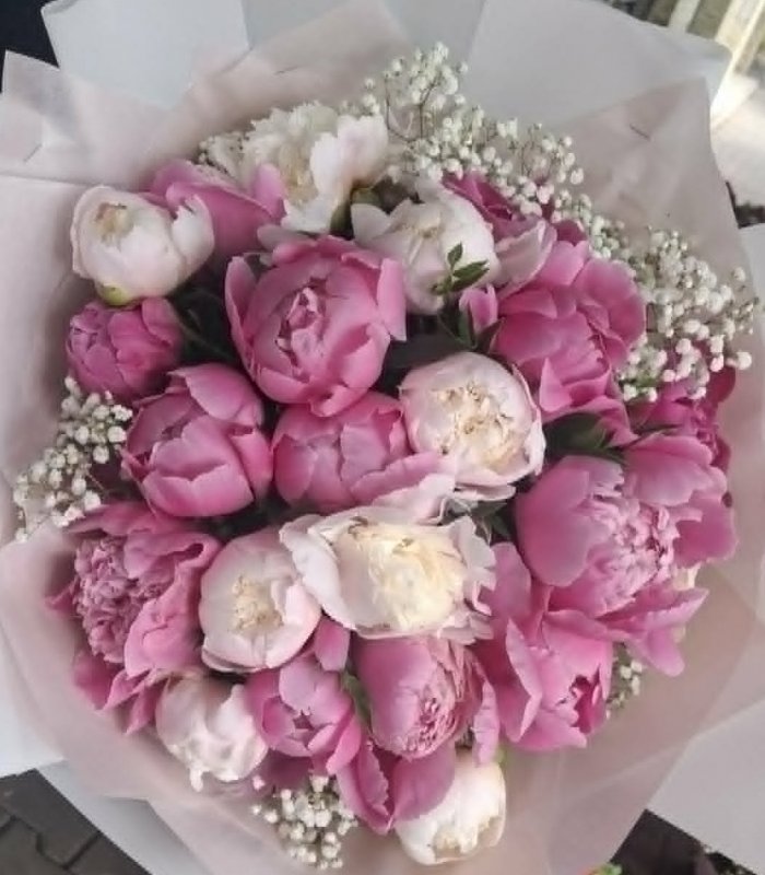 Buchet 21 de bujori 