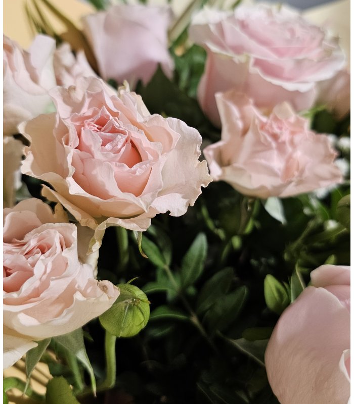 Buchet “Blush Elegance”