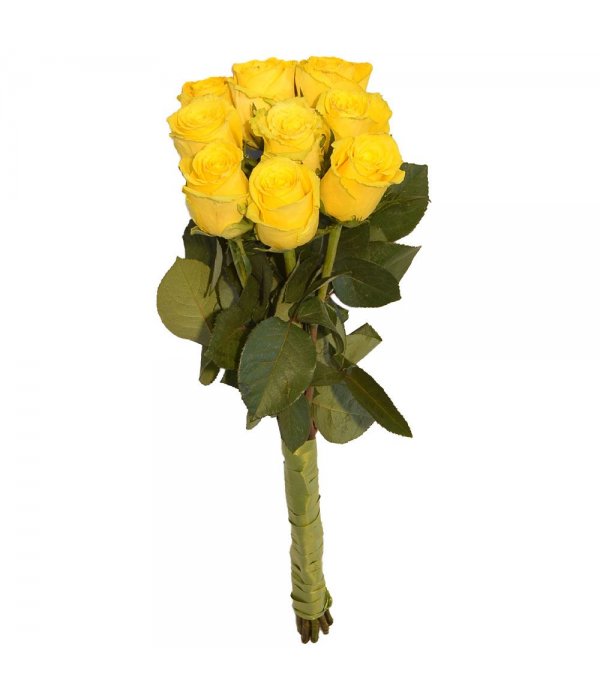 Buchet trandafiri 9 fire Galbeni