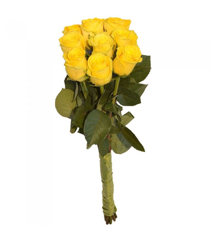 Buchet trandafiri 9 fire Galbeni