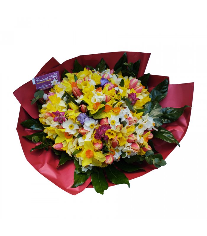 Buchet colorat lalele si narcise