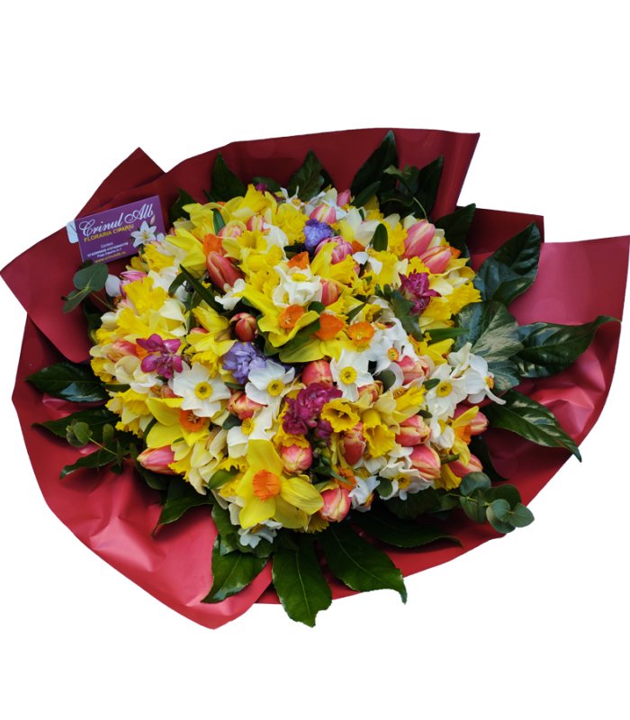Buchet colorat lalele si narcise
